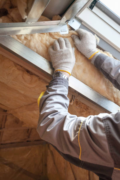 Best Geographic-Specific Insulation Services in Sanford, ME